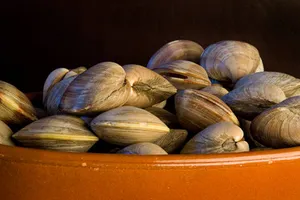 Fresh Clamsin Terracotta Bowl Wallpaper