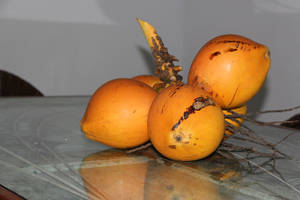 Fresh Coconuts - Essential In Ayurveda Lifestyle Wallpaper