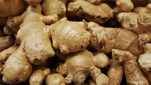 Fresh Dry Ginger Root Vegetables Pile Wallpaper
