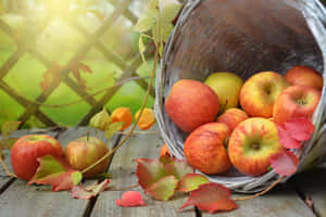 Fresh Fall Apples In A Basket Wallpaper
