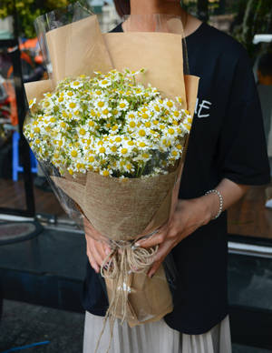 Fresh Feverfew Flower Bouquet At Flower Shop Wallpaper