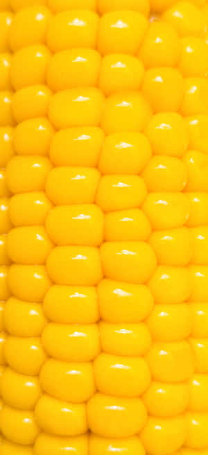 Fresh Golden Yellow Corn Kernels Wallpaper