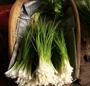Fresh Green Chives With White Roots Wallpaper