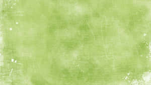 Fresh Green Texture Wallpaper Wallpaper