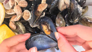 Fresh Mussels With Lemon And Clams.jpg Wallpaper