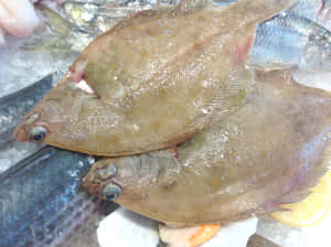 Fresh Plaiceon Iceat Fish Market.jpg Wallpaper