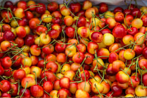 Fresh Red Cherries On Display Wallpaper