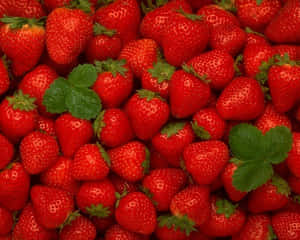 Fresh Red Strawberry Close-up Wallpaper