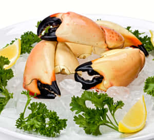 Fresh Stone Crab Clawson Ice Wallpaper