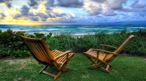 Fresh Summer Flowers In A Garden Gleaming In The Sun Wallpaper