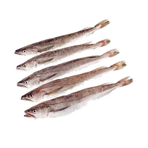 Fresh Whiting Fish Isolated White Background Wallpaper