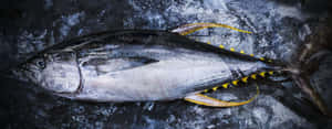 Fresh Yellowfin Tunaon Dark Background.jpg Wallpaper