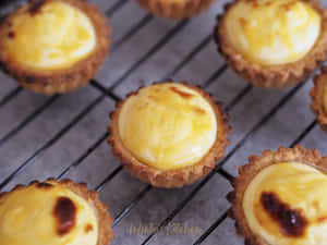 Freshly Baked Custard Tart Wallpaper