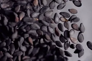 Freshly Ground Black Sesame Seeds, Ready To Be Enjoyed. Wallpaper