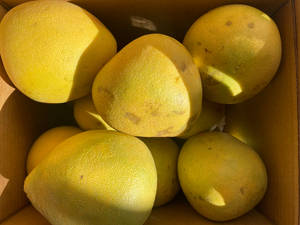 Freshly Harvested Pomelos In A Box Wallpaper