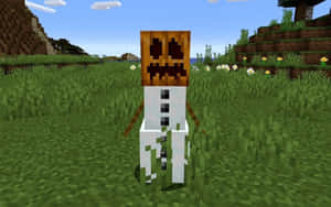 Friendly Minecraft Snow Golem Ready For Adventure Wallpaper