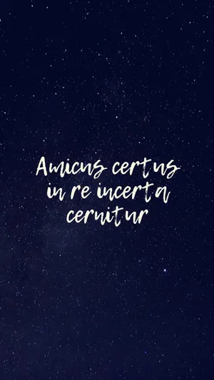 Friends Wisdom Inscription Wallpaper