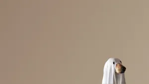 Frighten Your Friends With Creepy Horror Costumes Wallpaper