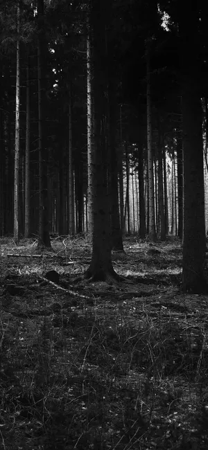 Frighteningly Futuristic Iphone Wallpaper