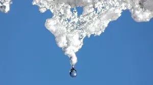 From Bold Street Art To Calming Cloudless Skies - Experience The Different Kinds Of Cool Wallpaper