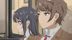 From Left To Right - Rio Futaba, Sakuta Azusagawa, Tomoe Koga And Mai Sakurajima Form The Main Cast Of The Anime, Rascal Does Not Dream Of Bunny Girl Senpai Wallpaper