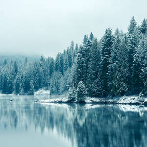 Frosted Lake View Ipad Mini Wallpaper