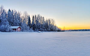 Frozen Lake In Cold Winter Wallpaper