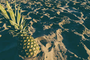 Fruit On Beach Aesthetic Tumblr Wallpaper