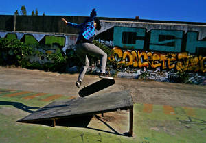 Fs Pop Shove It Skateboarding Wallpaper