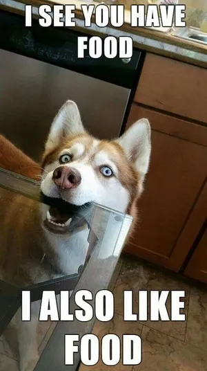 Fuel Up For Fun! Wallpaper