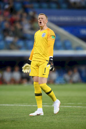 Full Body Jordan Pickford In Yellow Wallpaper