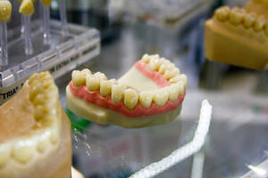 Full Bottom Dentures Dentistry Wallpaper