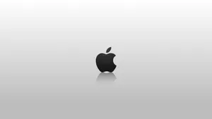 Full Hd Apple On Plain Wallpaper