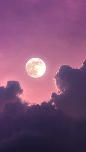 Full Moon Pink Sky Wallpaper