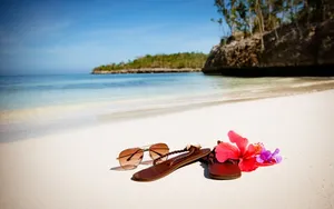 Fun In The Sun With Essential Beach Accessories Wallpaper