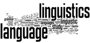 Fundamentals Of Linguistics Wallpaper