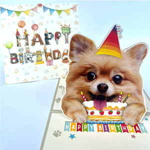 Funny Dog Celebrating Birthday Wallpaper