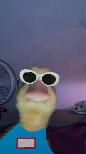 Funny Duck Cute Pfp For Tiktok Wallpaper