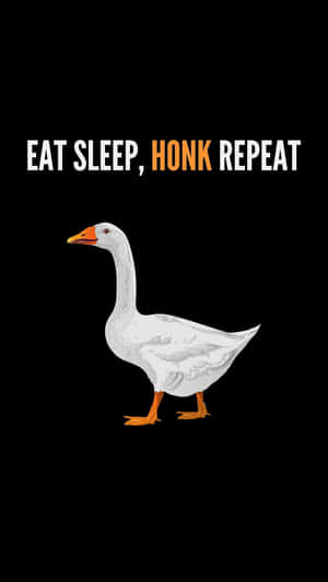 Funny Goose Eat Sleep Honk Repeat Wallpaper