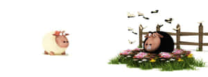 Funny Sheep Spring Dual Screen Wallpaper