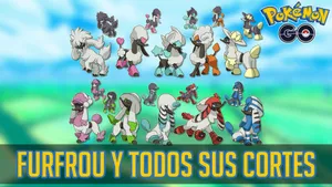 Furfrou Forms Pokemon G O Wallpaper
