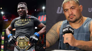 Furious Martial Arts Mark Hunt Wallpaper