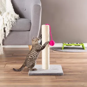 Furry Feline Enjoying Her Cat Scratching Post Wallpaper