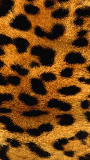 Furry Leopard Print Brown Wallpaper