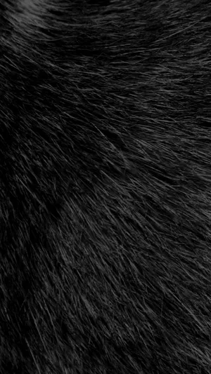 Fuzzy Black Hair Wallpaper