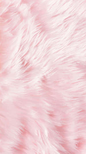 Fuzzy Light Pink Fabric Wallpaper