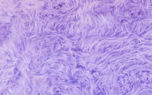 Fuzzy Purple Fur Wallpaper