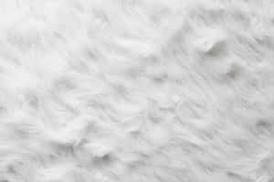 Fuzzy White Fabric Wallpaper