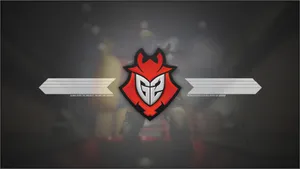 G2 Esports Csgo Pro Wallpaper