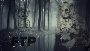 G59 Dark Forest Aesthetic Wallpaper